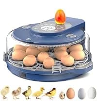 Automatic Chicken Coop Door Solar Powered with Timer and Light Sensor — collection imagery