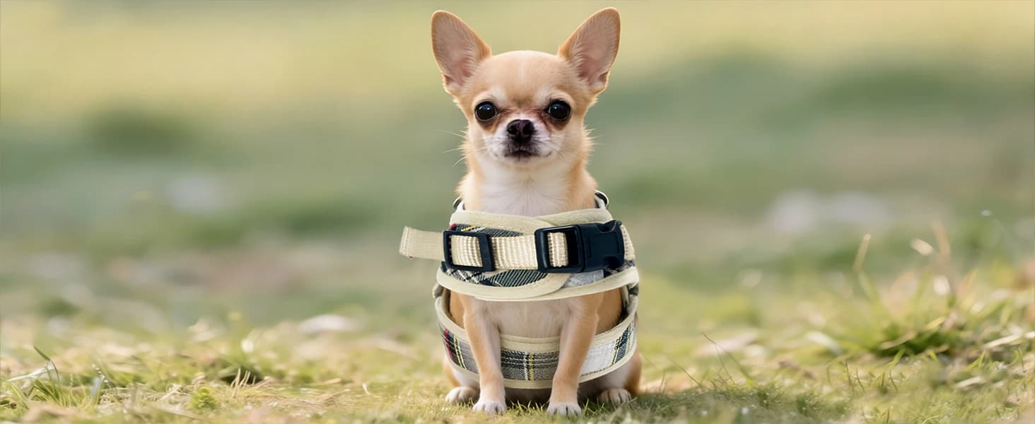 Plaid Breathable Rabbit Harness and Leash Set Escape Proof — product details