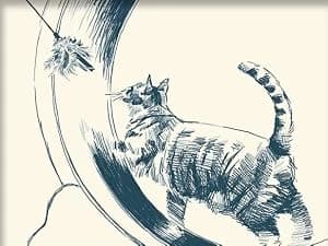 48'' XL Cat Wheel β Safe, Quiet and Stable Exercise Wheel for Large Indoor Cats up to 45 lbs β 15.7'' β Cat Wheels for Indoor Cats