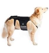Dog Lift Harness, Pet Support and Rehabilitation Sling Lift Adjustable Padded Breathable Straps for Old — collection imagery