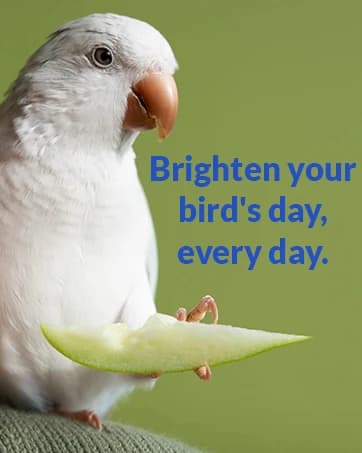 HappyBird Lighting Bird Cage Light with Chew Guard - Full Spectrum LED Pet Light - Simulates Natural — collection imagery