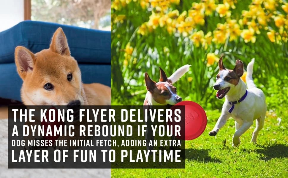 Flyer — Natural Rubber Flying Disc Fetch Toy — product details