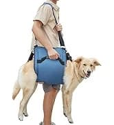 Dog Lift Harness, Pet Support and Rehabilitation Sling Lift Adjustable Padded Breathable Straps for Old — collection imagery