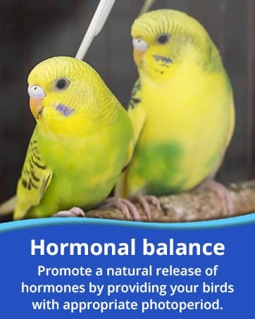 HappyBird Lighting Bird Cage Light with Chew Guard - Full Spectrum LED Pet Light - Simulates Natural — collection imagery