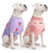 Dog Cooling Vest - Evaporative Summer Cooling — collection imagery
