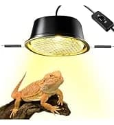 3 in 1 Reptile Hide Cave with Detachable Base and Humidity Dish — collection imagery