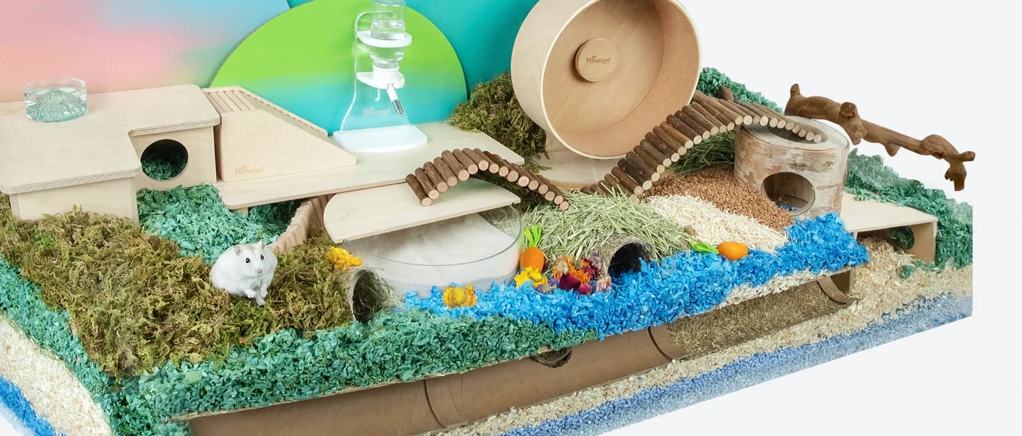 Bearded Dragon Seagrass Hammock — collection imagery