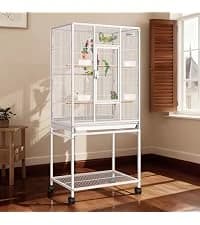 19 Inch Wrought Iron Travel Bird Cage for Cockatiel Parakeets — collection imagery