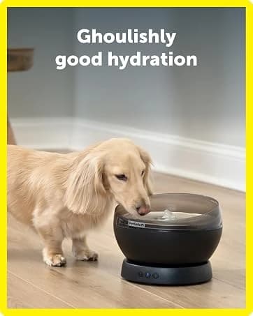 Automatic Dog Feeder — 5 Meals — collection imagery