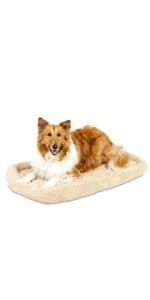 Ultra Vari Dog Kennel 40in — Medium to Large Dogs 70 to 90lbs — product details