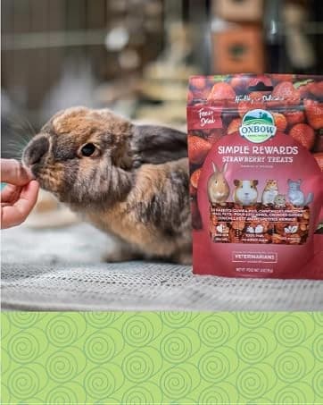 Eco Straw Rabbit Litter Pellets — collection imagery