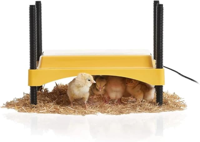 Ecoglow Safety 600 Chick or Duckling Brooder