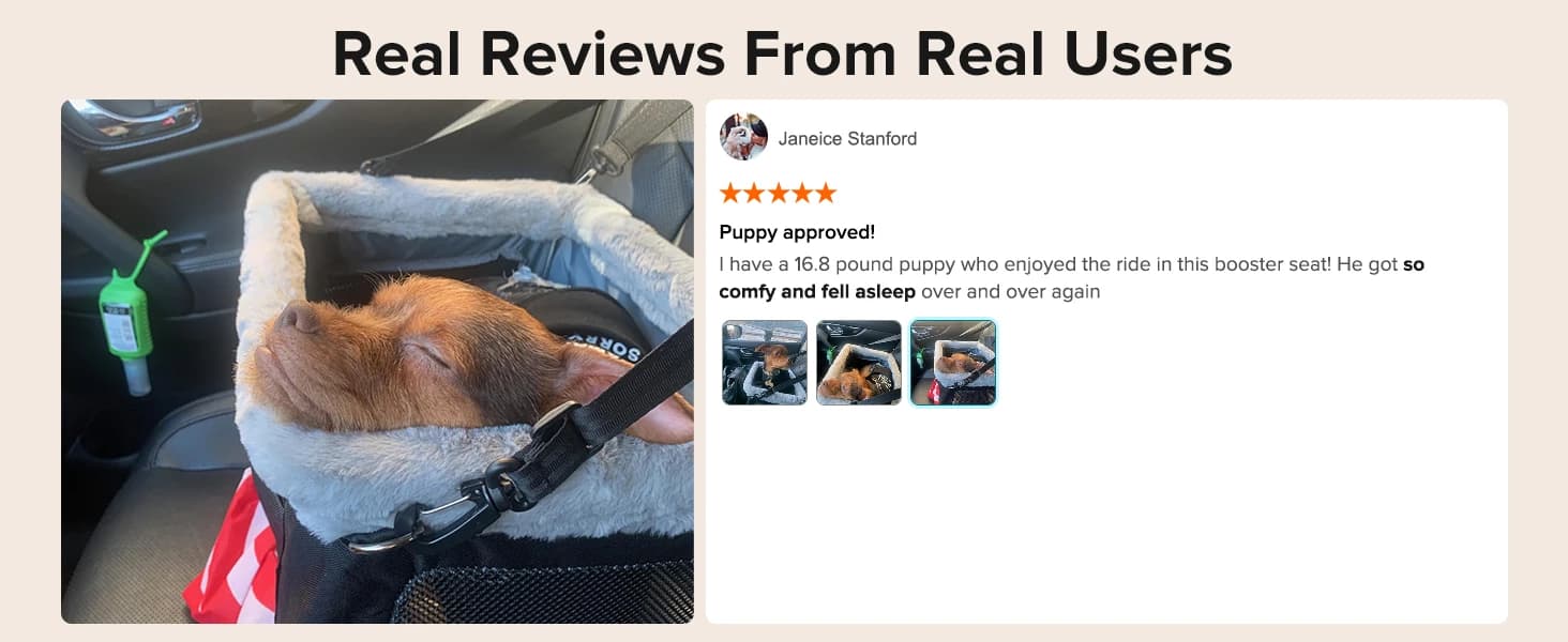 Deluxe Dog Booster Seat with Sturdy Metal Frame and Safety Leash for Small Pets up to 20 lbs - Portable Puppy β product details