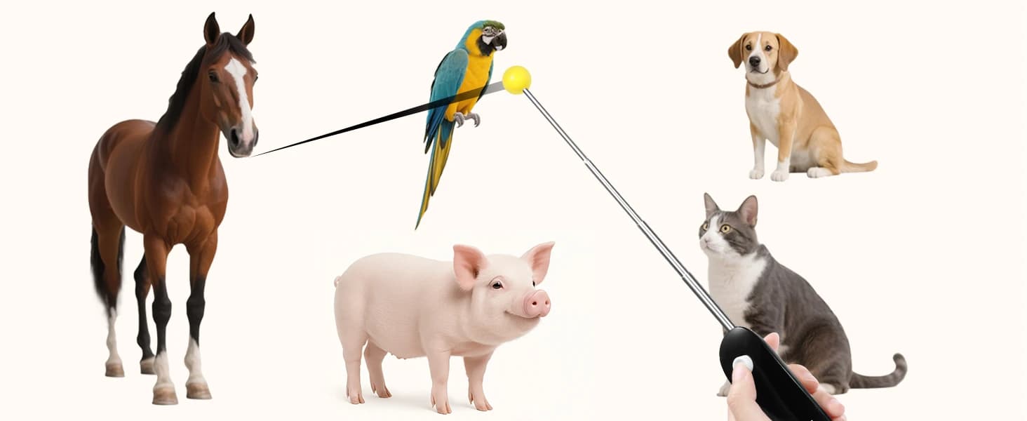 Dog Training Clicker with Target Stick – Portable and Retractable Trainer with Comfortable Handle and Bright — Perfect for Most Pets