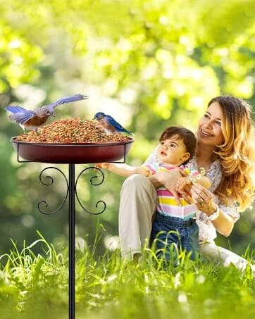 35In Metal Bird Bath for Outside — collection imagery