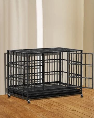 8x4x6FT Outdoor Dog Kennel for Large Dogs — collection imagery