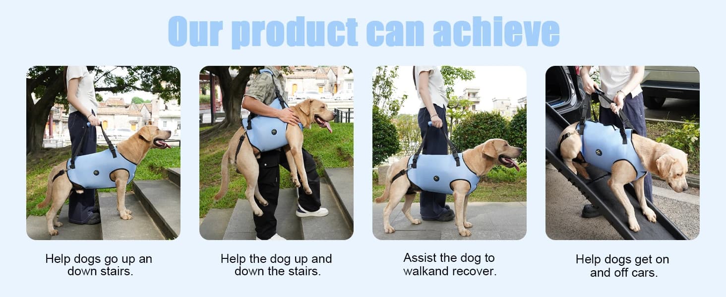 Dog Lift Harness, Pet Support and Rehabilitation Sling Lift Adjustable Padded Breathable Straps for Old — product details