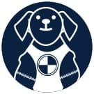 Crash Tested Dog Safety Harness | Size M — Crash Tested
