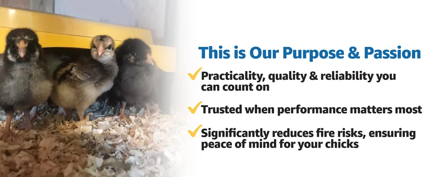 Ecoglow Safety 600 Chick or Duckling Brooder — collection imagery