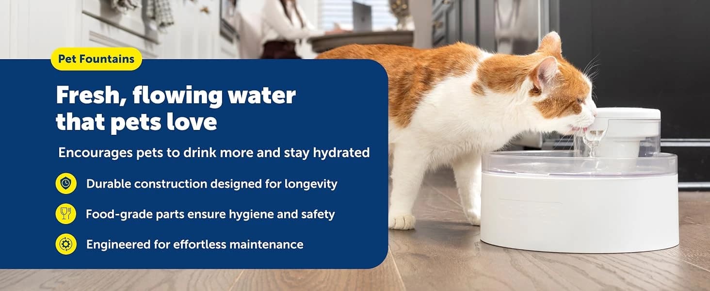 Automatic Dog Feeder — 5 Meals — product details