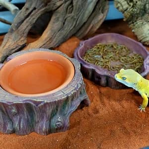3 in 1 Reptile Hide Cave with Detachable Base and Humidity Dish — collection imagery