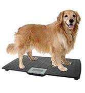 Precision Digital Pet Scale for Large Animals with Non-Skid Mat — collection imagery