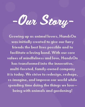 Flexible Rubber-Nodule Pet Grooming Gloves — collection imagery