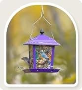 Metal Bird Feeders for Outdoors Hanging — collection imagery