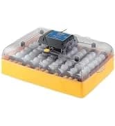Ecoglow Safety 600 Chick or Duckling Brooder — collection imagery