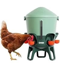 Insulated Chicken Waterer, 3 Gallon | Automatic Poultry Water Dispenser with 5 Cups and Nipples Included | — collection imagery