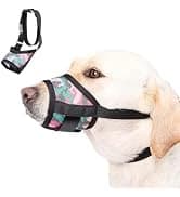 Dog Backpack for Small Dogs to Wear — collection imagery