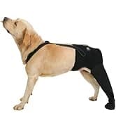 Dog Lift Harness, Pet Support and Rehabilitation Sling Lift Adjustable Padded Breathable Straps for Old — collection imagery