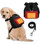 Dog Backpack for Small Dogs to Wear — collection imagery