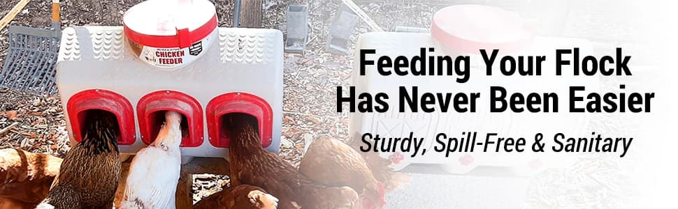 OverEZ Chicken Feeder - Holds — 50 Pounds of Feed - Inside or Outside Hen Coop - Large Gravity Fed Automatic — collection imagery