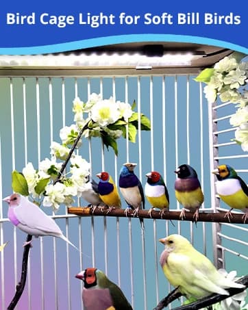 HappyBird Lighting Bird Cage Light with Chew Guard - Full Spectrum LED Pet Light - Simulates Natural — collection imagery