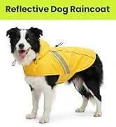 Dog Life Vest Rip Stop Dog Swim Vest — collection imagery