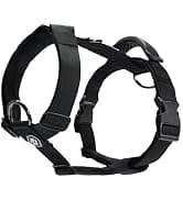 Dog Cooling Vest - Evaporative Summer Cooling — collection imagery
