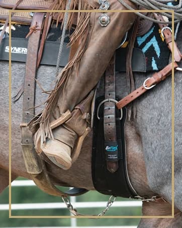 Supply Original Non-Adjustable Nylon Horse Halter – Durable Nylon — collection imagery