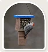 Metal Bird Feeders for Outdoors Hanging — collection imagery