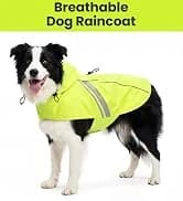 Dog Life Vest Rip Stop Dog Swim Vest — collection imagery