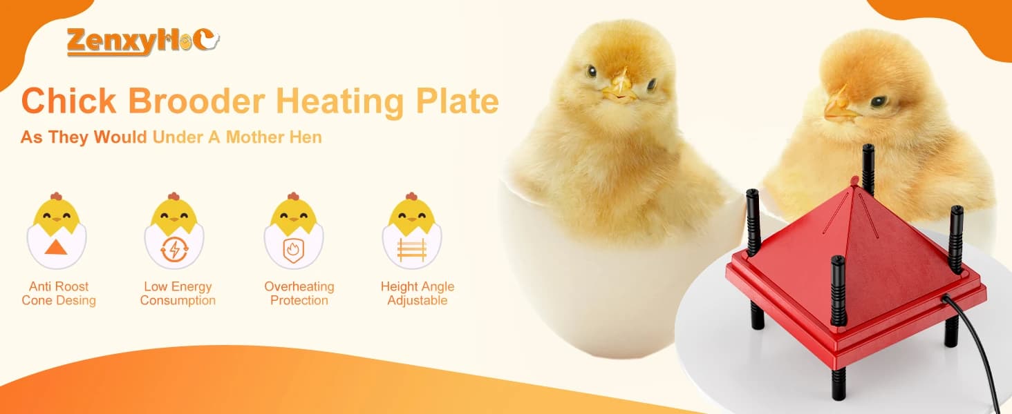 Chick Brooder Heater with Anti-Roost Cone and Constant Temp Red 12" x 12" — product details