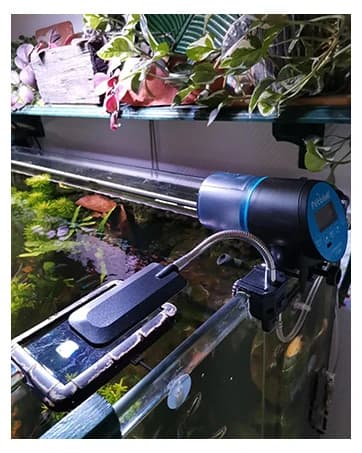 Automatic Fish Feeder for Aquarium Easy Setup & 4 Timers — collection imagery