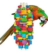 Bird Toys Sola Balls 2.36'' - 6PCS — Bird Foraging Toy — collection imagery
