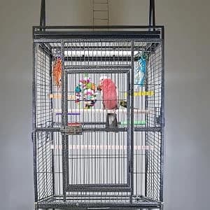 HappyBird Lighting Bird Cage Light with Chew Guard - Full Spectrum LED Pet Light - Simulates Natural — Economical and attractive lighting designed specifically for destructive chewers.