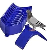 Collapsible Pet Bathtub with Water Drain Plug — collection imagery