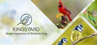 Metal Bird Feeders for Outdoors Hanging — collection imagery