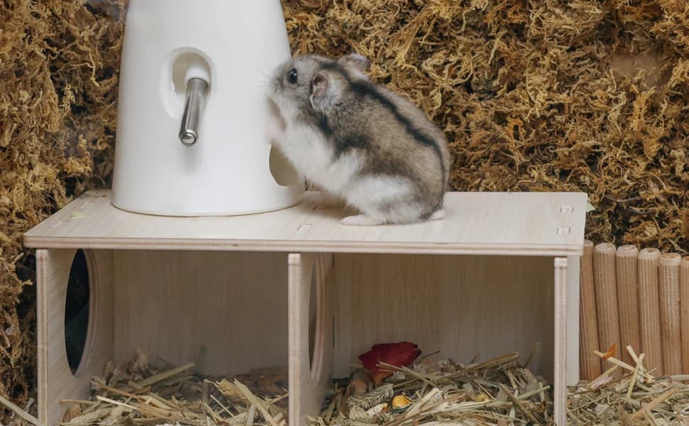 Hamster Peep Tunnel — 2-Chamber Wooden Hamster Hideout — product details