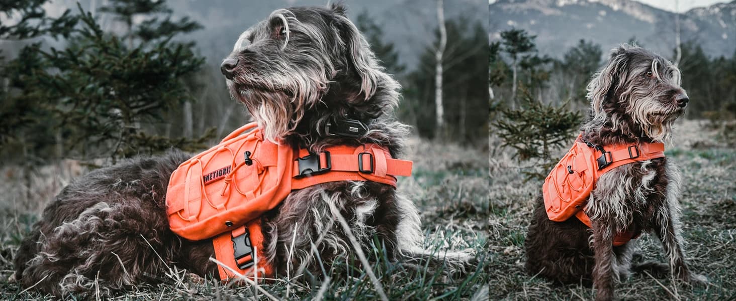 Dog Backpack for Medium and Large Dogs — collection imagery