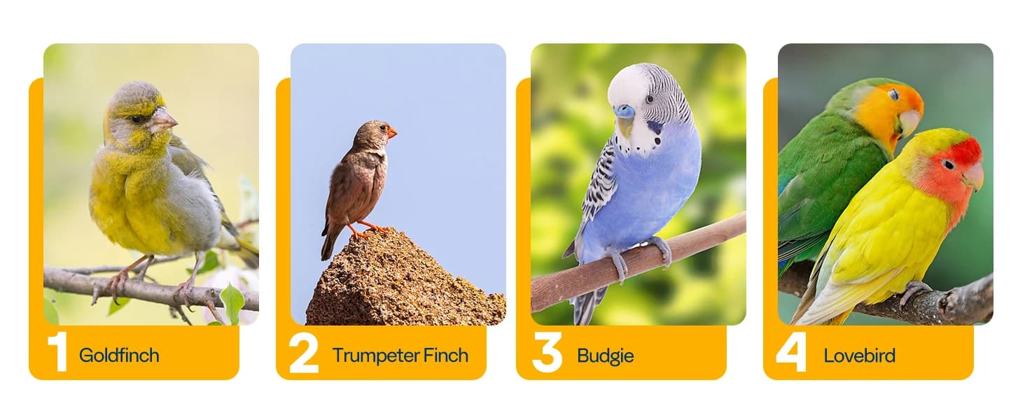 19 Inch Wrought Iron Travel Bird Cage for Cockatiel Parakeets — collection imagery