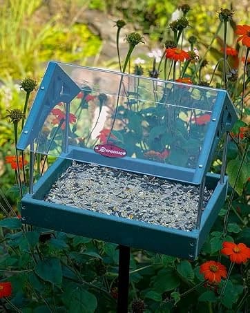 Metal Bird Feeders for Outdoors Hanging — collection imagery